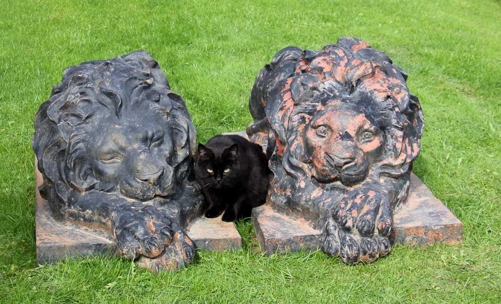 Cast Iron Garden Lions with Jack the Cat