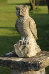 Stone Owl